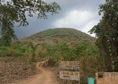 auf-dem-weg-regenwald